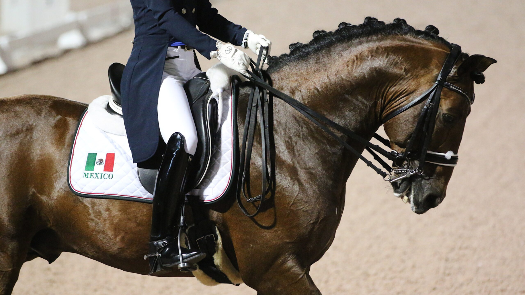 DRESSAGE SADDLES