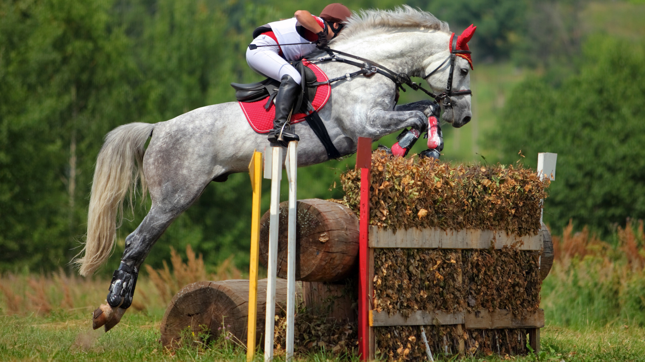 CROSS COUNTRY SADDLES