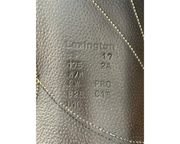Voltaire 17.5" 2A - Image 2